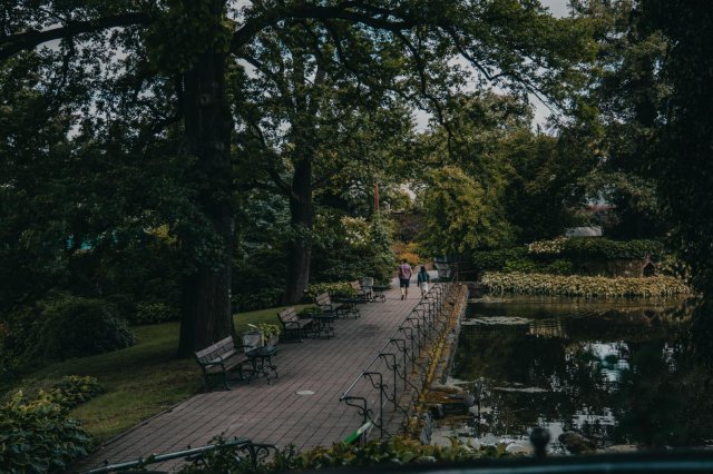W ostatnie dni wakacji zapraszamy do Arboretum w Wojsławicach