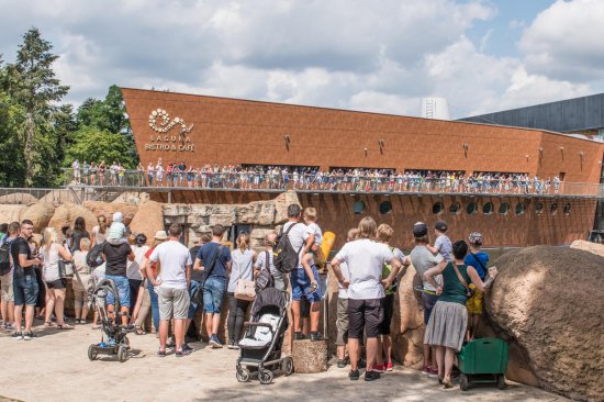 620 tys. osób odwiedziło wrocławskie zoo w wakacje