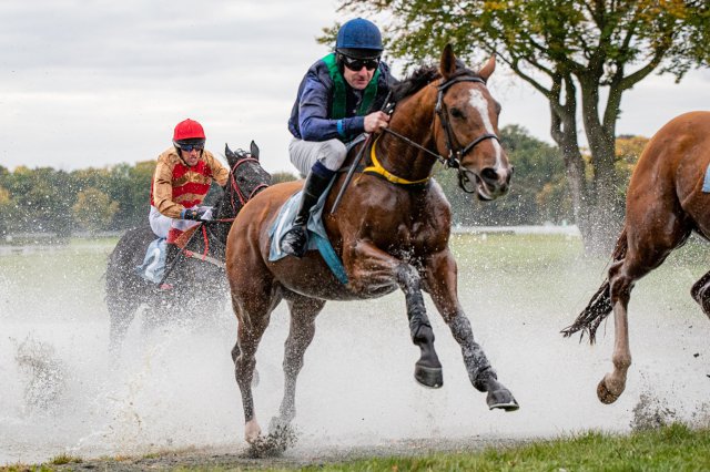 [FOTO] Jeździectwo: Larizano wygrał Crystal Cup