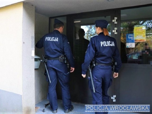 grafika