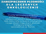 grafika