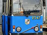 grafika