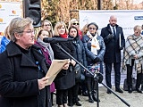 grafika