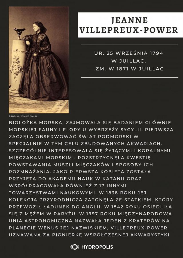 grafika