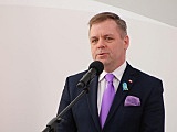 grafika
