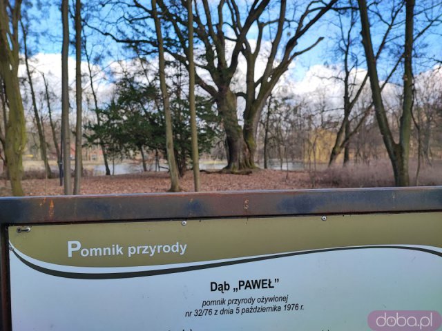 Ciekawe, mało znane miejsca Wrocławia cz. 5: Pawłowice - Pałac Kornów, park, jezioro