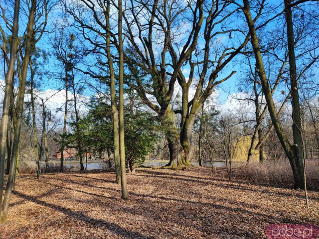 Ciekawe, mało znane miejsca Wrocławia cz. 5: Pawłowice - Pałac Kornów, park, jezioro