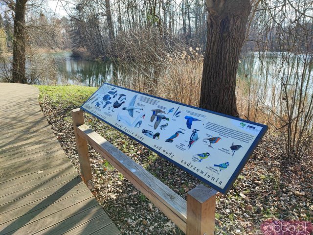 Ciekawe, mało znane miejsca Wrocławia cz. 5: Pawłowice - Pałac Kornów, park, jezioro