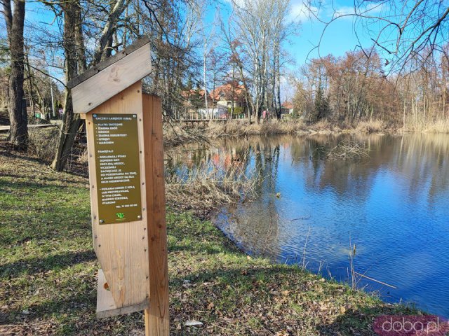 Ciekawe, mało znane miejsca Wrocławia cz. 5: Pawłowice - Pałac Kornów, park, jezioro