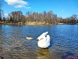 Ciekawe, mało znane miejsca Wrocławia cz. 5: Pawłowice - Pałac Kornów, park, jezioro