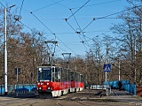 grafika