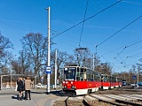 grafika