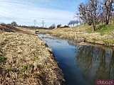 Ciekawe, mało znane miejsca Wrocławia cz. 6: Park Mamuta, Wzgórze Oporowskie i Park Grabiszyński