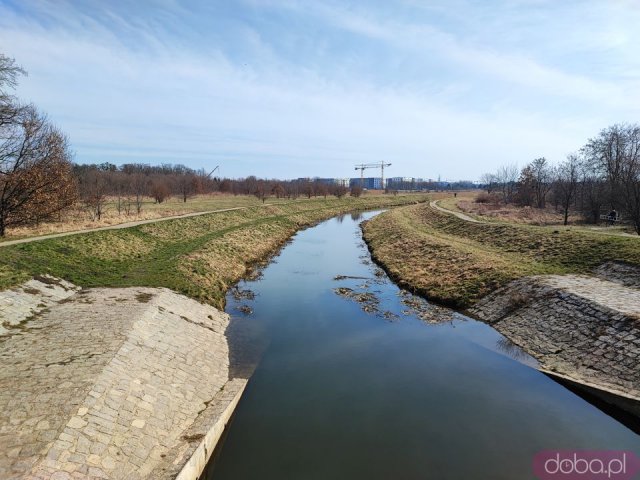 Ciekawe, mało znane miejsca Wrocławia cz. 6: Park Mamuta, Wzgórze Oporowskie i Park Grabiszyński