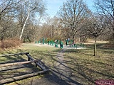 Ciekawe, mało znane miejsca Wrocławia cz. 6: Park Mamuta, Wzgórze Oporowskie i Park Grabiszyński