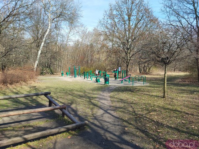 Ciekawe, mało znane miejsca Wrocławia cz. 6: Park Mamuta, Wzgórze Oporowskie i Park Grabiszyński