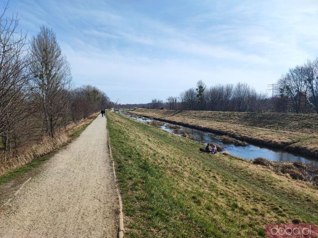 Ciekawe, mało znane miejsca Wrocławia cz. 6: Park Mamuta, Wzgórze Oporowskie i Park Grabiszyński