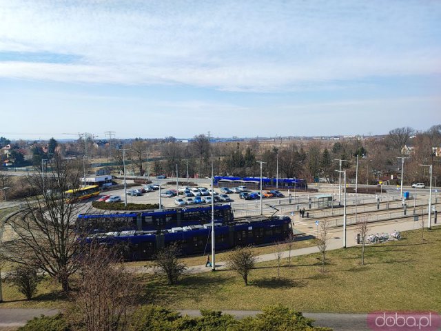 Ciekawe, mało znane miejsca Wrocławia cz. 6: Park Mamuta, Wzgórze Oporowskie i Park Grabiszyński