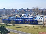 Ciekawe, mało znane miejsca Wrocławia cz. 6: Park Mamuta, Wzgórze Oporowskie i Park Grabiszyński