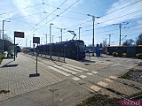 Ciekawe, mało znane miejsca Wrocławia cz. 6: Park Mamuta, Wzgórze Oporowskie i Park Grabiszyński