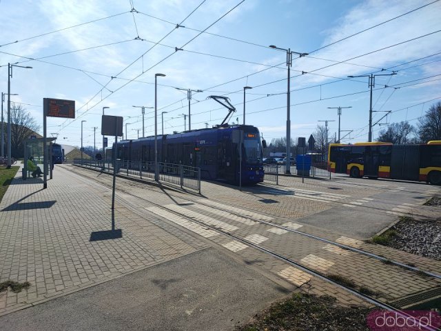 Ciekawe, mało znane miejsca Wrocławia cz. 6: Park Mamuta, Wzgórze Oporowskie i Park Grabiszyński