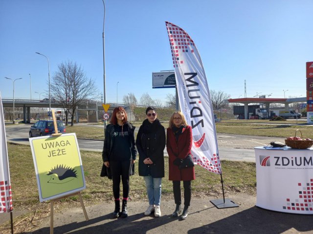 grafika