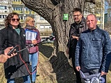 grafika