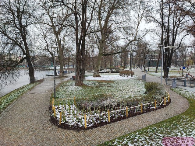 [FOTO] Wiosenny śnieg we Wrocławiu