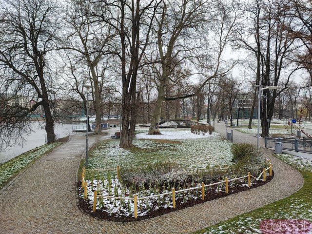 [FOTO] Wiosenny śnieg we Wrocławiu