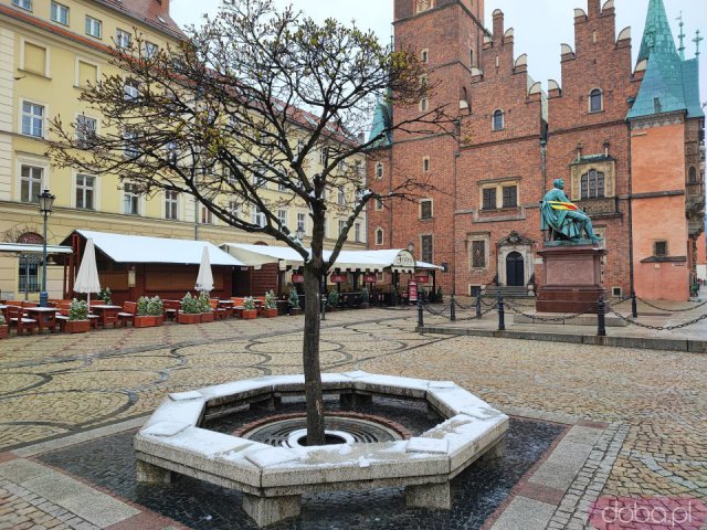 [FOTO] Wiosenny śnieg we Wrocławiu