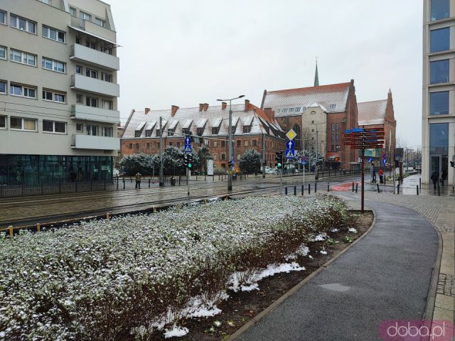 [FOTO] Wiosenny śnieg we Wrocławiu