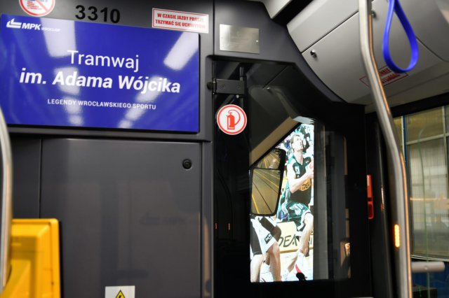 grafika