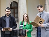 grafika