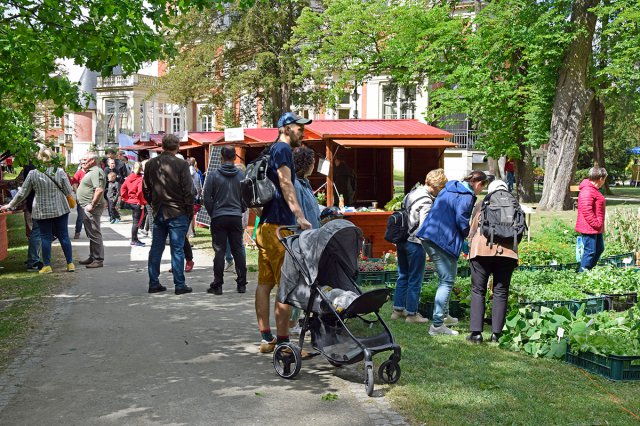 [FOTO] Dni Przyrodników za nami