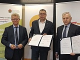 grafika