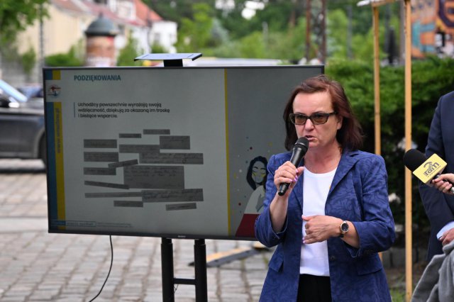 grafika