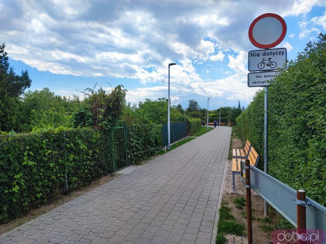 [FOTO] Postępy budowy na nowej ścieżce rowerowej na Ołbinie. Trasa niebawem będzie gotowa