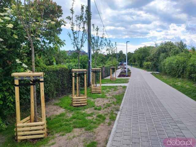 [FOTO] Postępy budowy na nowej ścieżce rowerowej na Ołbinie. Trasa niebawem będzie gotowa