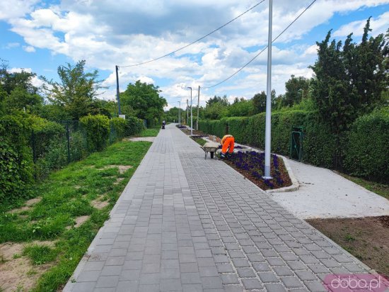 [FOTO] Postępy budowy na nowej ścieżce rowerowej na Ołbinie. Trasa niebawem będzie gotowa