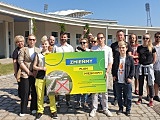 grafika