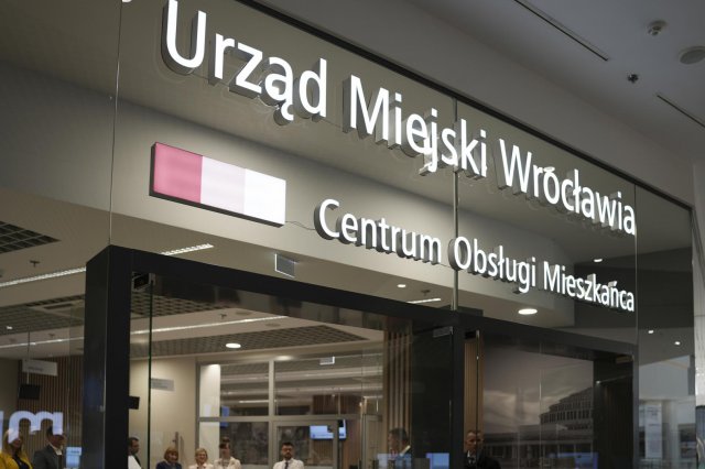 grafika