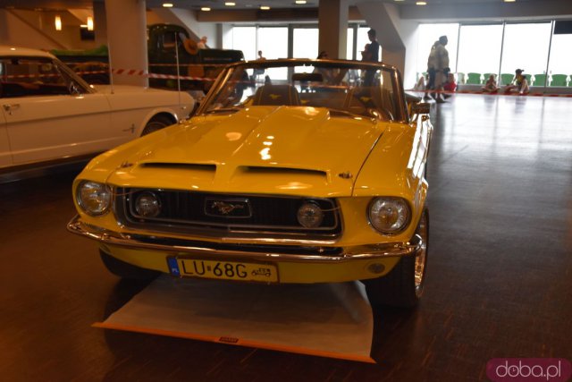 [DUŻO ZDJĘĆ, WIDEO] Zlot amerykańskich samochodów American Cars Mania we Wrocławiu