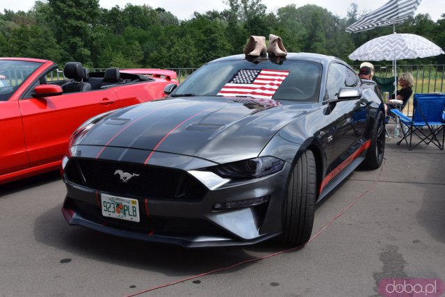 [DUŻO ZDJĘĆ, WIDEO] Zlot amerykańskich samochodów American Cars Mania we Wrocławiu