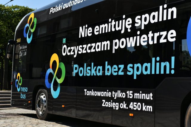 grafika