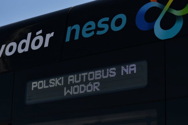 grafika