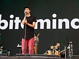 grafika