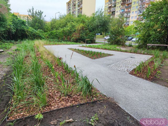[FOTO] Powstaje nowy skwerek we Wrocławiu. To element projektu Zielona Litewska