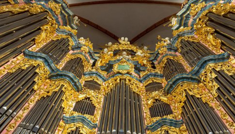 Koncerty organowe w bazylice św. Elżbiety