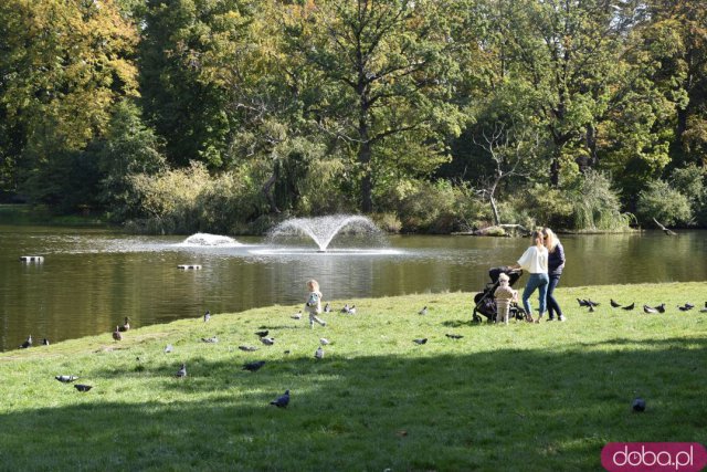 Koniec kalendarzowego lata. Czy we wrocławskich parkach widać pierwsze oznaki jesieni? [FOTO]