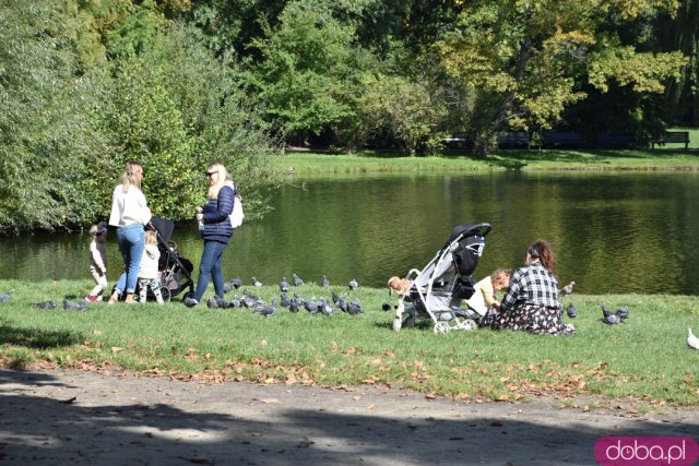 Koniec kalendarzowego lata. Czy we wrocławskich parkach widać pierwsze oznaki jesieni? [FOTO]